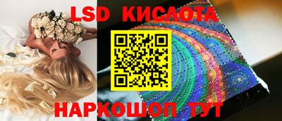 стафф Пенза