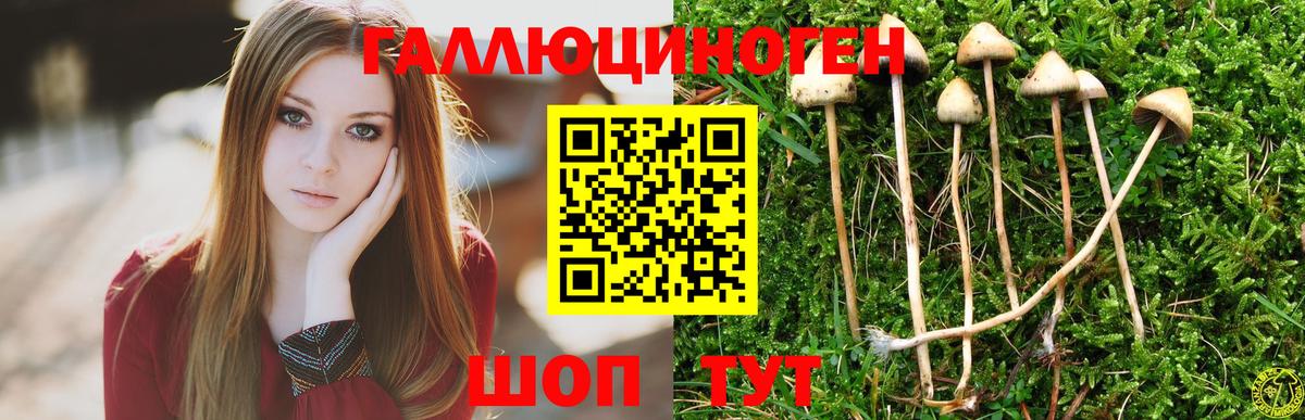 Галлюциногенные грибы Psilocybine cubensis  Галлюциногенные грибы мицелий  Вход с VPN  Химки 